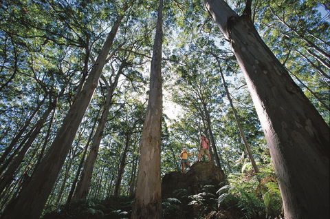 Leeuwin-Naturaliste National Park - Leeuwin - Accommodation Port Macquarie 0