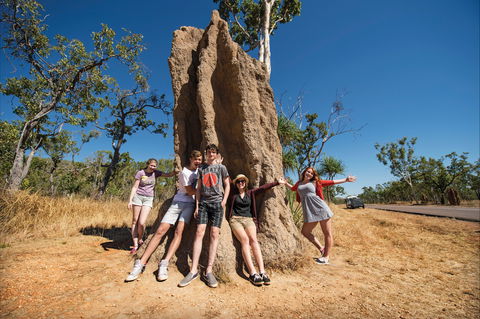 Magnetic Termite Mounds - Accommodation Port Macquarie 0