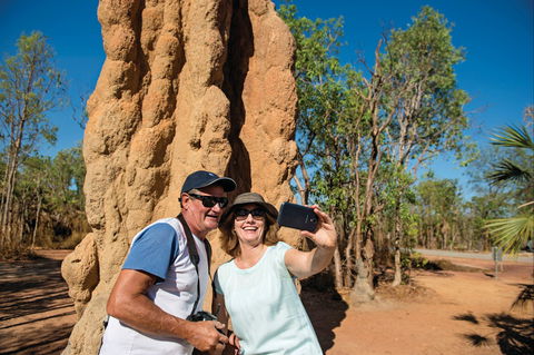 Magnetic Termite Mounds - Accommodation Port Macquarie 1