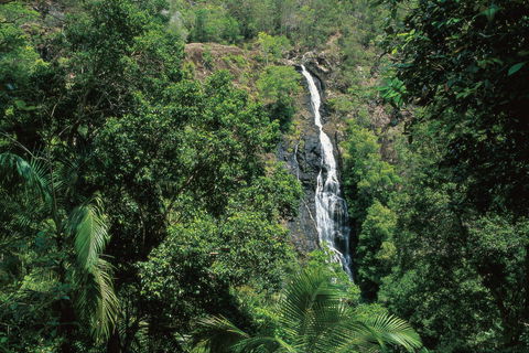 Mapleton Falls National Park - Accommodation Port Macquarie 0