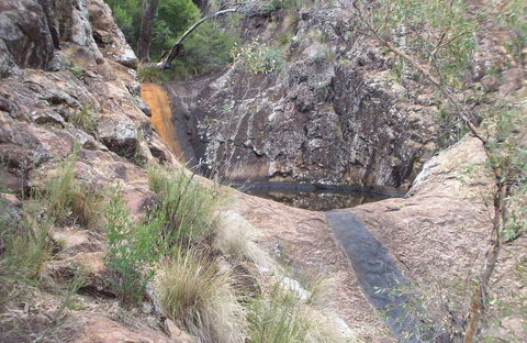 Mill-bullah Walking Track - Accommodation Port Macquarie 0