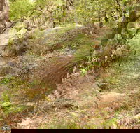 Mount Carnarvon Walking Track - Accommodation Port Macquarie