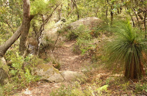 Mount Carnarvon Walking Track - Accommodation Port Macquarie 0