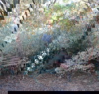 Old Chum's Walking Track on Lunatic Hill Three-Mile Opal Field - Accommodation Port Macquarie