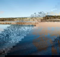 Pattimores Lagoon - Accommodation Port Macquarie