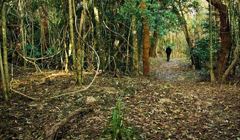 Sand Track Walk (north) - Accommodation Port Macquarie 0