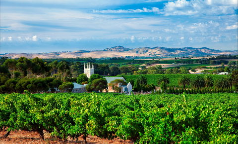 Seppeltsfield Road Barossa Valley - Accommodation Port Macquarie 1