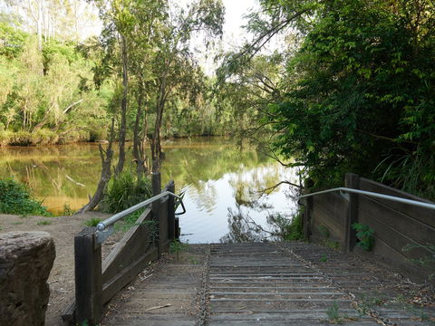 Shapcott Park - Accommodation Port Macquarie 0