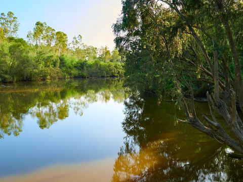 Shapcott Park - Accommodation Port Macquarie 1