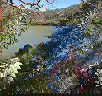 Sphinx Memorial to Bobbin Head Loop Track - Accommodation Port Macquarie