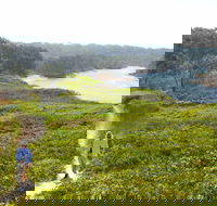 Station Creek - Accommodation Port Macquarie