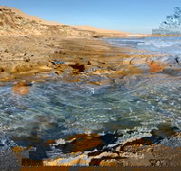 Streaky Bay - Back Beach - Accommodation Port Macquarie