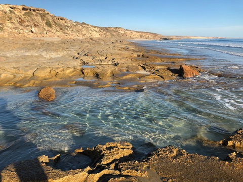 Streaky Bay - Back Beach - Accommodation Port Macquarie 0