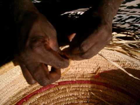 Tjanpi Desert Weavers - Accommodation Port Macquarie 1