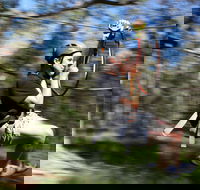 TreeTops Western Sydney - Accommodation Port Macquarie