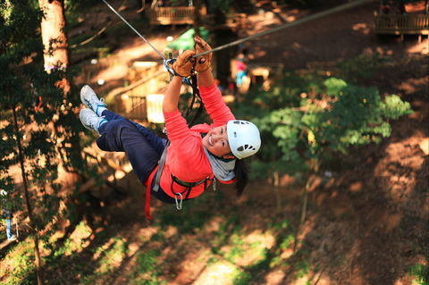 Trees Adventure - Glen Harrow Park - Accommodation Port Macquarie 0