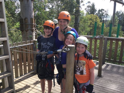 Trees Adventure - Glen Harrow Park - Accommodation Port Macquarie 1
