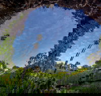 Umpherston Sinkhole - Accommodation Port Macquarie