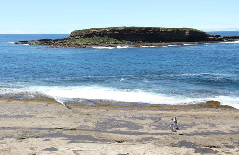 Wasp Head Picnic Area - Accommodation Port Macquarie 0