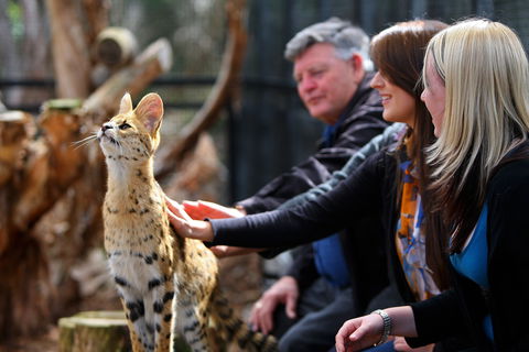 Werribee Open Range Zoo - Accommodation Port Macquarie 0