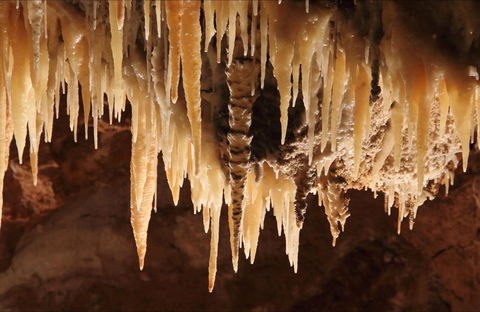 Wollondilly Cave - Accommodation Port Macquarie 0