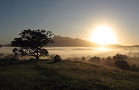Wollumbin-Mount Warning National Park - Accommodation Port Macquarie 0