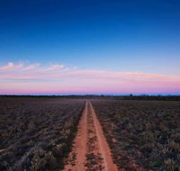 Yanga National Park - Accommodation Port Macquarie