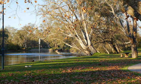 Albury - Accommodation Port Macquarie 0