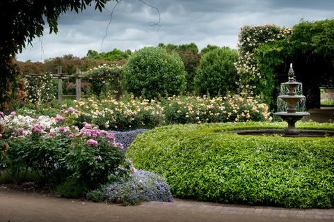Alowyn Gardens And Nursery - Accommodation Port Macquarie 1
