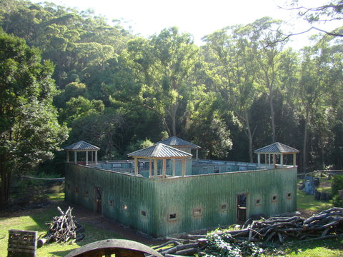 Alpha Paintball - Accommodation Port Macquarie 0