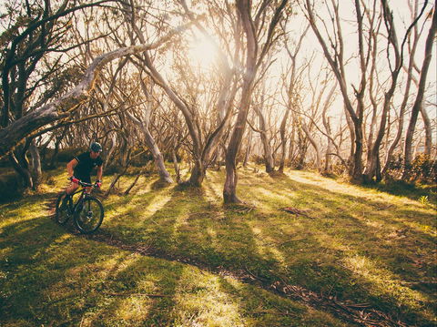 Australian Alpine Epic Mountain Bike Trail - Accommodation Port Macquarie 2