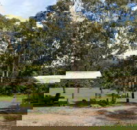 Back Creek picnic area - Accommodation Port Macquarie