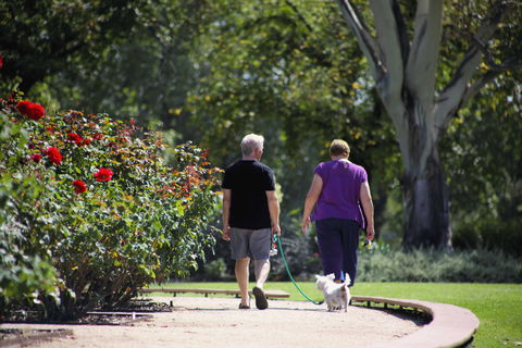 Benalla Botanical Gardens - Accommodation Port Macquarie 1