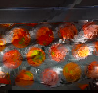 Bottle House and Mining Museum - Accommodation Port Macquarie