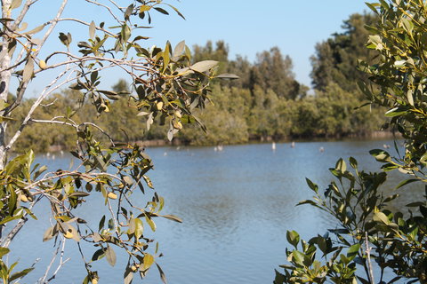 Boyters Lane Bird Hide - Accommodation Port Macquarie 2