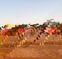 Broken Hill Camels - Accommodation Port Macquarie