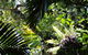 Byrrill Creek Walking Track - thumb 0