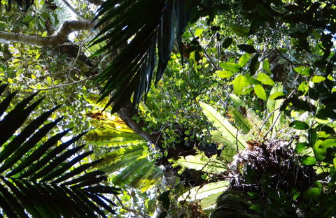 Byrrill Creek Walking Track - Accommodation Port Macquarie 0