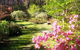 Campbell Rhododendron Gardens - thumb 2