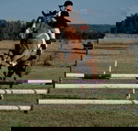 Camden Bicentennial Equestrian Park - Accommodation Port Macquarie