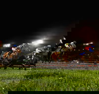 Canterbury Park Racecourse - Accommodation Port Macquarie