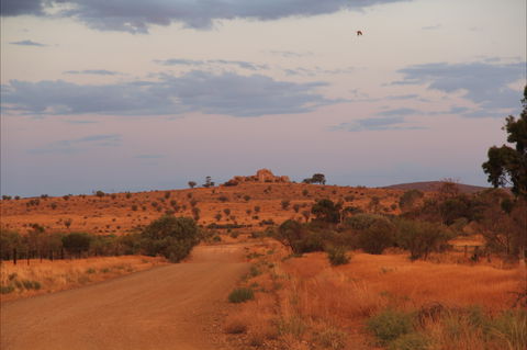 Castle Rock Walk And Lookout - Accommodation Port Macquarie 0