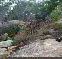 Dergholm State Park - Accommodation Port Macquarie