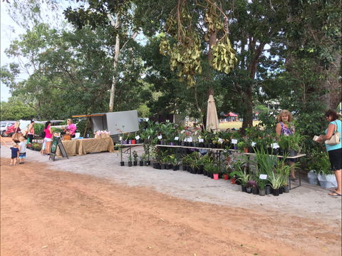 Fred's Pass Rural Market - Accommodation Port Macquarie 0