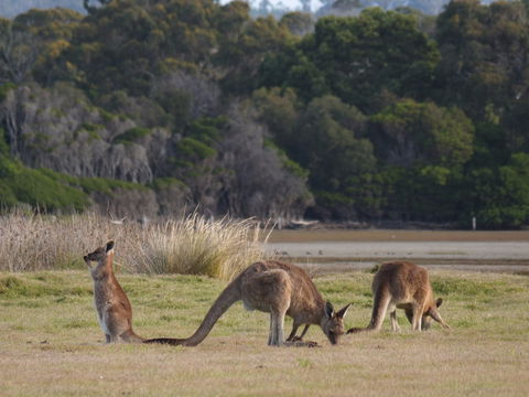 Great Nature Trail - Accommodation Port Macquarie 0