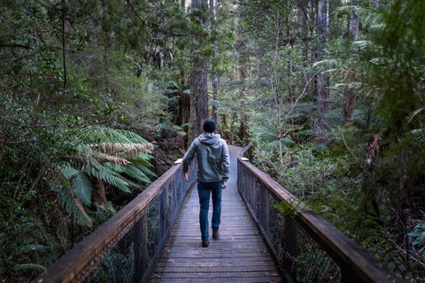 Hastings Caves And Thermal Springs - Accommodation Port Macquarie 1