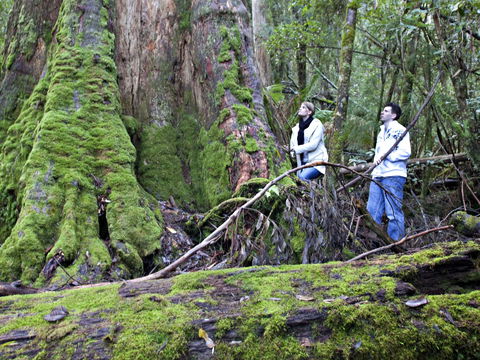 Hastings Caves And Thermal Springs - Accommodation Port Macquarie 2