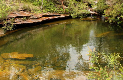 Hominy Creek Walking Track - Accommodation Port Macquarie 0