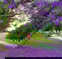 Howe Park - Accommodation Port Macquarie