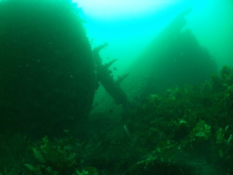 Investigator Strait Shipwreck Trail - Accommodation Port Macquarie 0